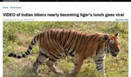 四虎免费视频,带你领略影视盛宴