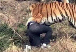 四虎免费视频,带你领略影视盛宴