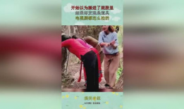 插屁股视频