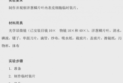 中考生物实验操作视频