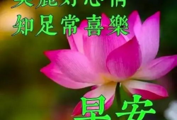 早上好视频,开启美好一天的心灵之旅