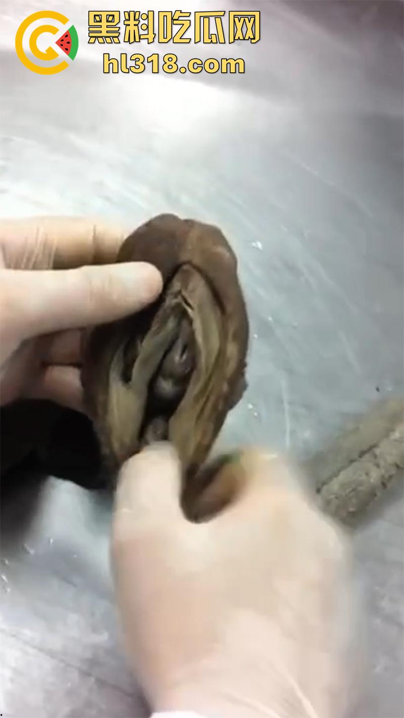 真实西藏密宗法器“肉莲花”，少女被108罗汉轮奸后，五毒侵蚀九蒸九炼，活体切割才可肉莲大成！-1